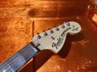 画像4: Fender USA Yngwie Malmsteen Signature Stratocaster / Rosewood (4)
